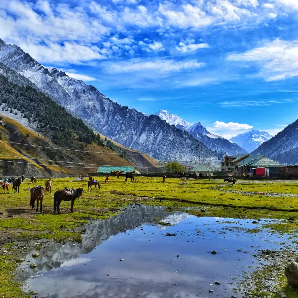 kashmir tour