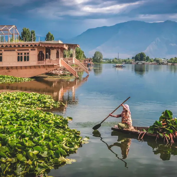 kashmir tour